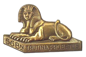 b56
