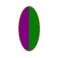 b62