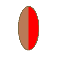 b67