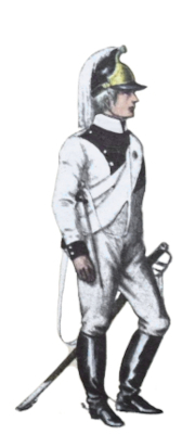 dr1