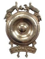 cav43