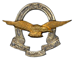 38th Cavalry