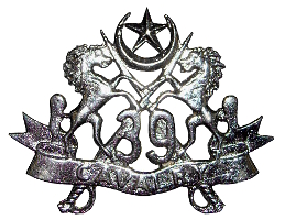 39th Cavalry