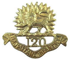 inf120
