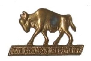 The Chamar Regimet
