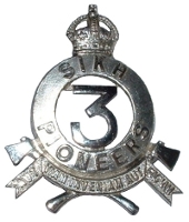 pion3