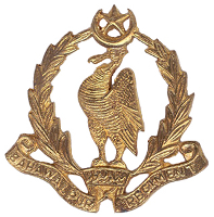The Bahawalpur Regiment