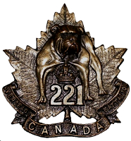 b221