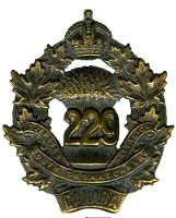 b229