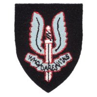 SAS