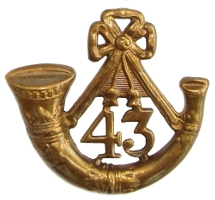 43rd
