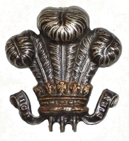 Denbighs