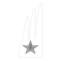 Novara