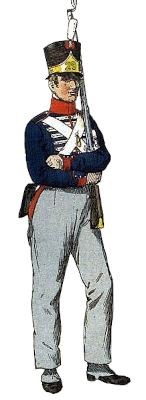 Zwitsers Nr. 29