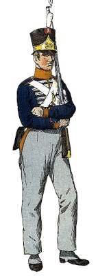 Zwitsers Nr. 30