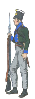FB16