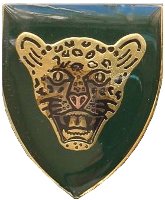10SAIB