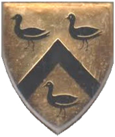 RPSteyn