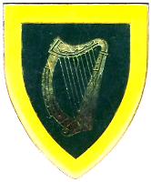 SAIrishR